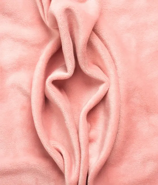 Labiaplasty comparison diagram showing normal and elongated labia minora with anatomical labels