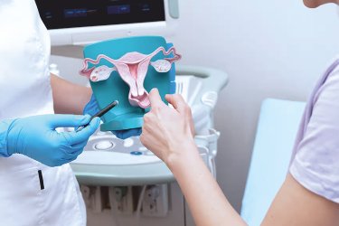 Labiaplasty Procedure